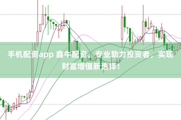 手机配资app 鑫牛配资，专业助力投资者，实现财富增值新选择！