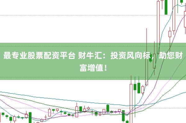最专业股票配资平台 财牛汇：投资风向标，助您财富增值！