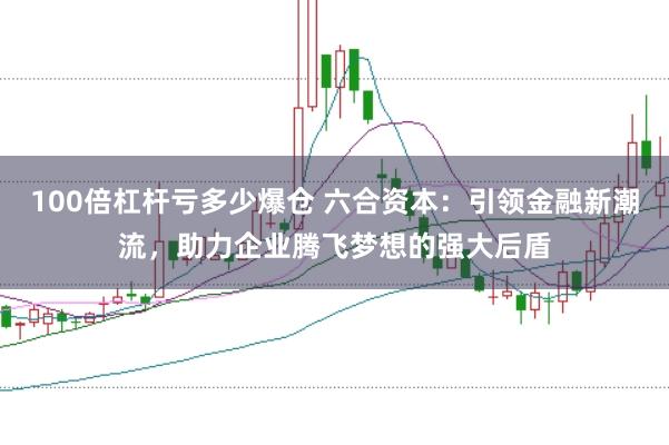 100倍杠杆亏多少爆仓 六合资本：引领金融新潮流，助力企业腾飞梦想的强大后盾