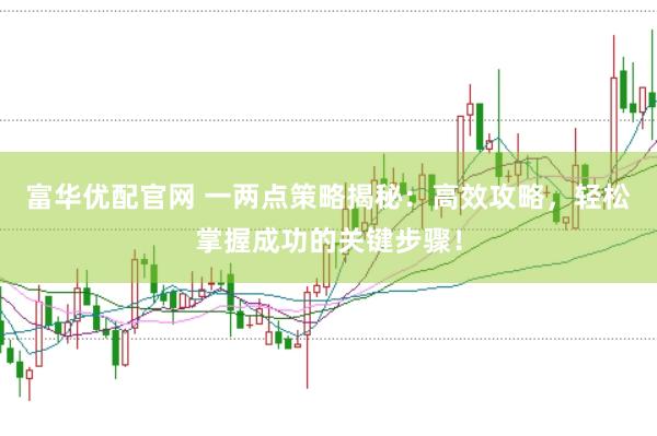 富华优配官网 一两点策略揭秘：高效攻略，轻松掌握成功的关键步骤！