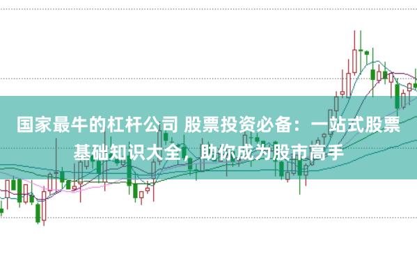 国家最牛的杠杆公司 股票投资必备：一站式股票基础知识大全，助你成为股市高手