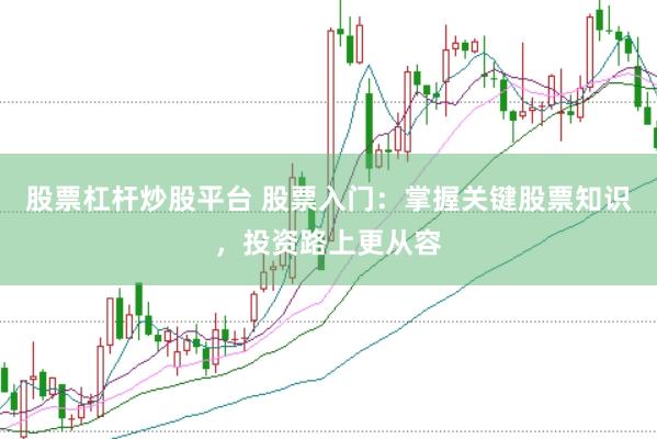 股票杠杆炒股平台 股票入门：掌握关键股票知识，投资路上更从容