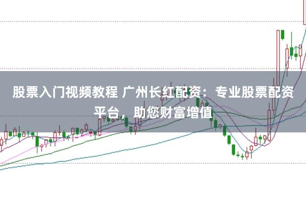 股票入门视频教程 广州长红配资：专业股票配资平台，助您财富增值