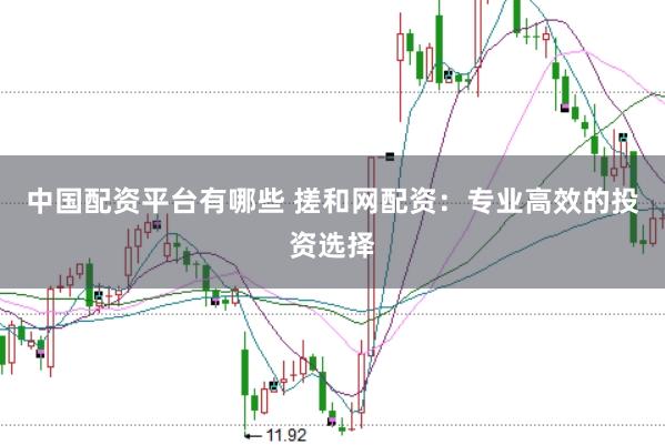 中国配资平台有哪些 搓和网配资：专业高效的投资选择