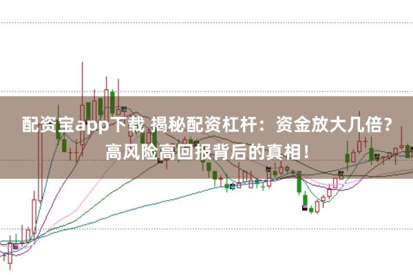 配资宝app下载 揭秘配资杠杆：资金放大几倍？高风险高回报背后的真相！