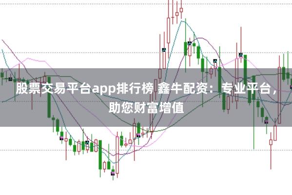 股票交易平台app排行榜 鑫牛配资：专业平台，助您财富增值