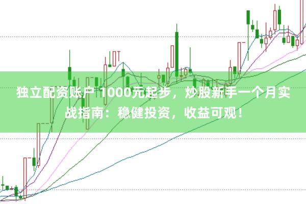 独立配资账户 1000元起步，炒股新手一个月实战指南：稳健投资，收益可观！