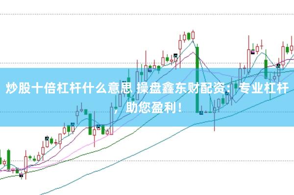 炒股十倍杠杆什么意思 操盘鑫东财配资：专业杠杆，助您盈利！