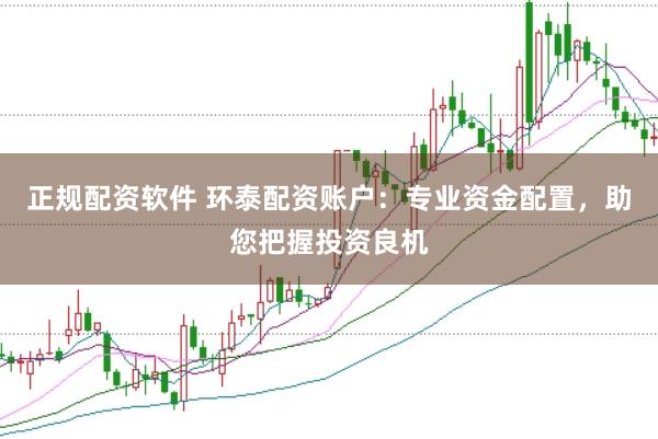 正规配资软件 环泰配资账户：专业资金配置，助您把握投资良机
