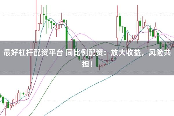 最好杠杆配资平台 同比例配资：放大收益，风险共担！
