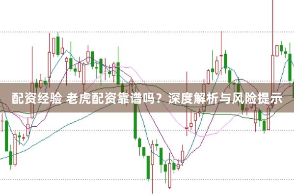 配资经验 老虎配资靠谱吗？深度解析与风险提示
