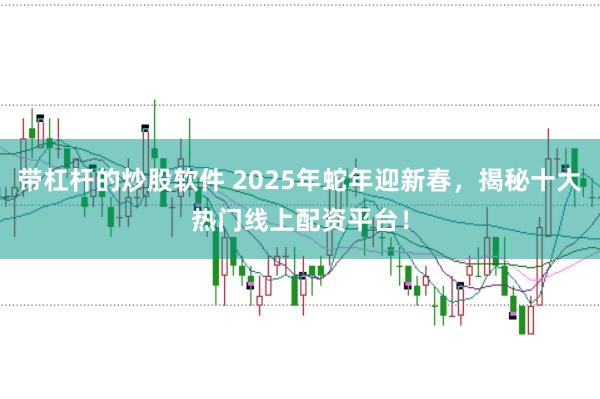 带杠杆的炒股软件 2025年蛇年迎新春，揭秘十大热门线上配资平台！