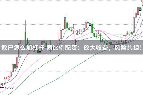 散户怎么加杠杆 同比例配资：放大收益，风险共担！