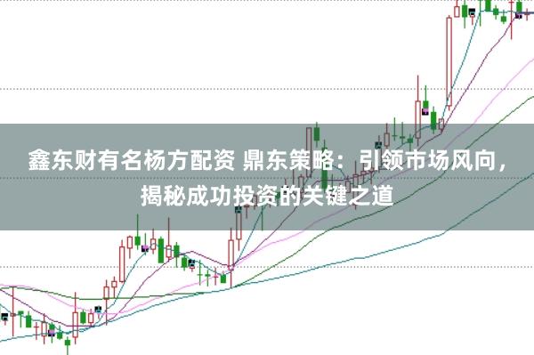 鑫东财有名杨方配资 鼎东策略：引领市场风向，揭秘成功投资的关键之道