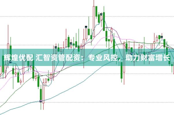 辉煌优配 汇智资管配资:专业风控,助力财富增长