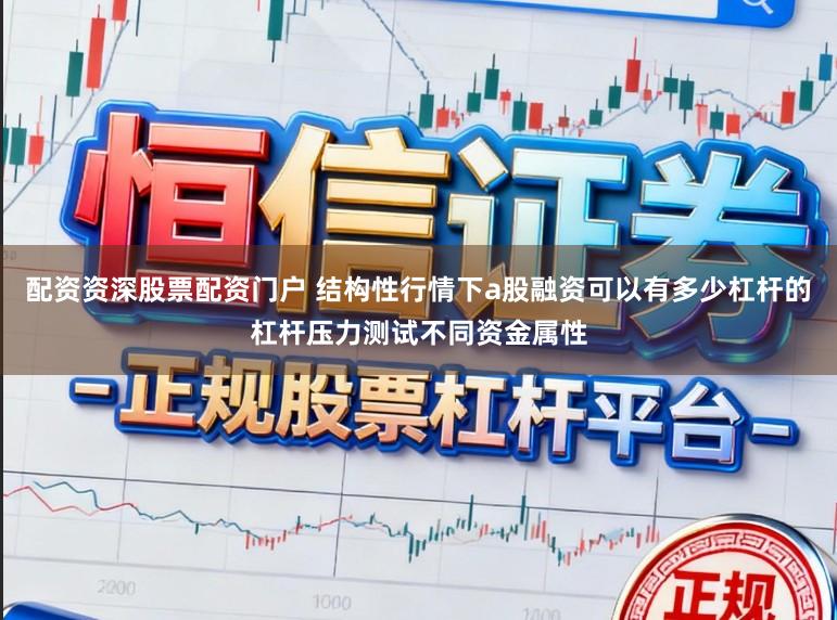 配资资深股票配资门户 结构性行情下a股融资可以有多少杠杆的杠杆压力测试不同资金属性