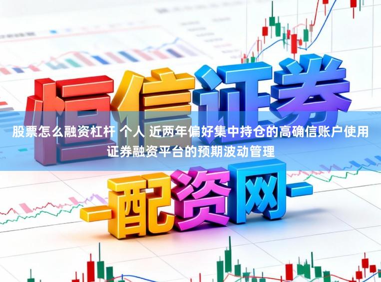 股票怎么融资杠杆 个人 近两年偏好集中持仓的高确信账户使用证券融资平台的预期波动管理