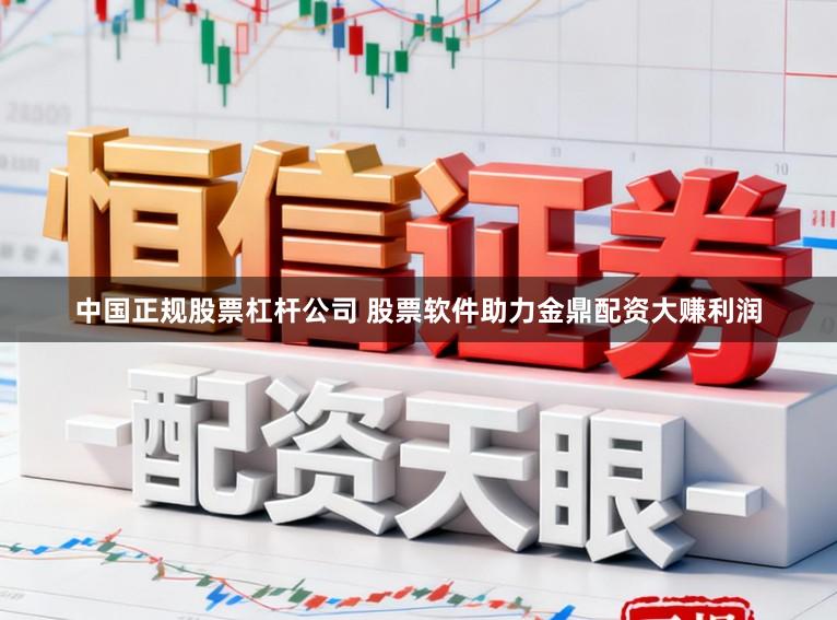 中国正规股票杠杆公司 股票软件助力金鼎配资大赚利润